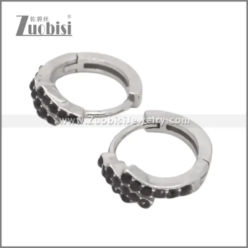 Stainless Steel Earring e002535S2