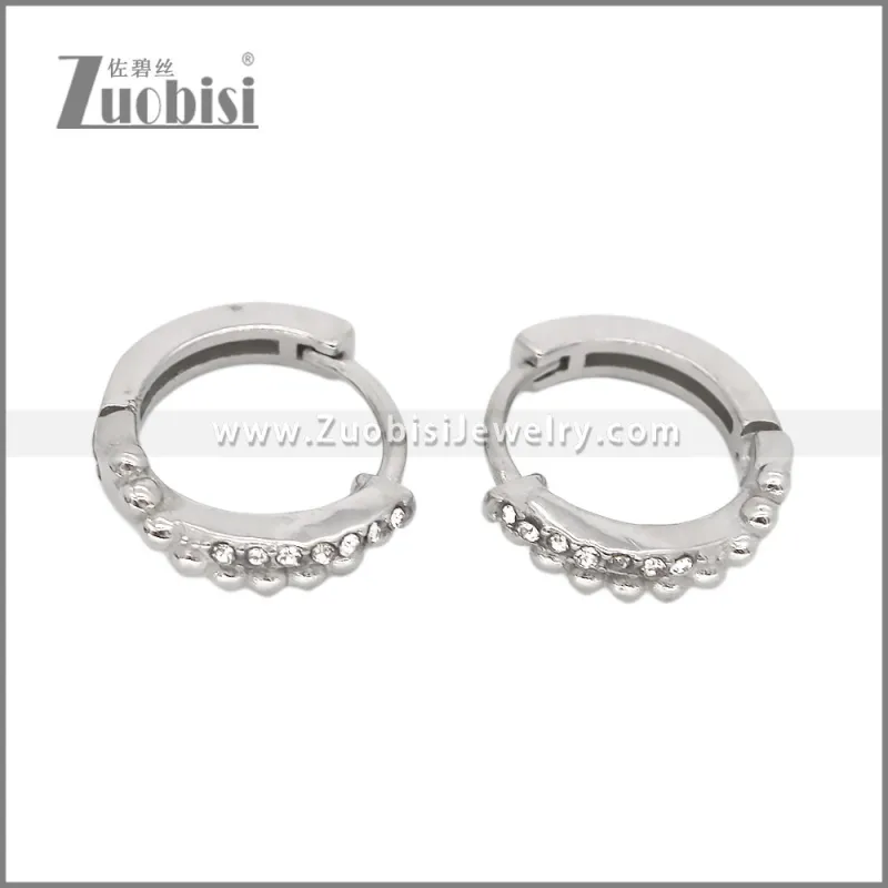 Stainless Steel Earring e002540S2