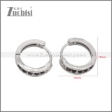 Stainless Steel Earring e002529