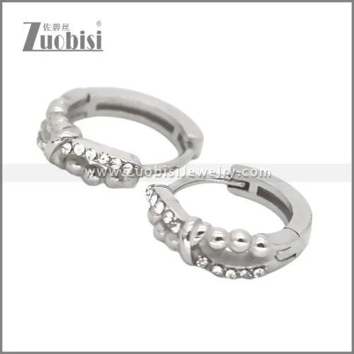 Stainless Steel Earring e002541S1