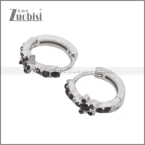 Stainless Steel Earring e002537S1