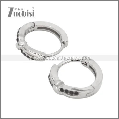 Stainless Steel Earring e002536S2