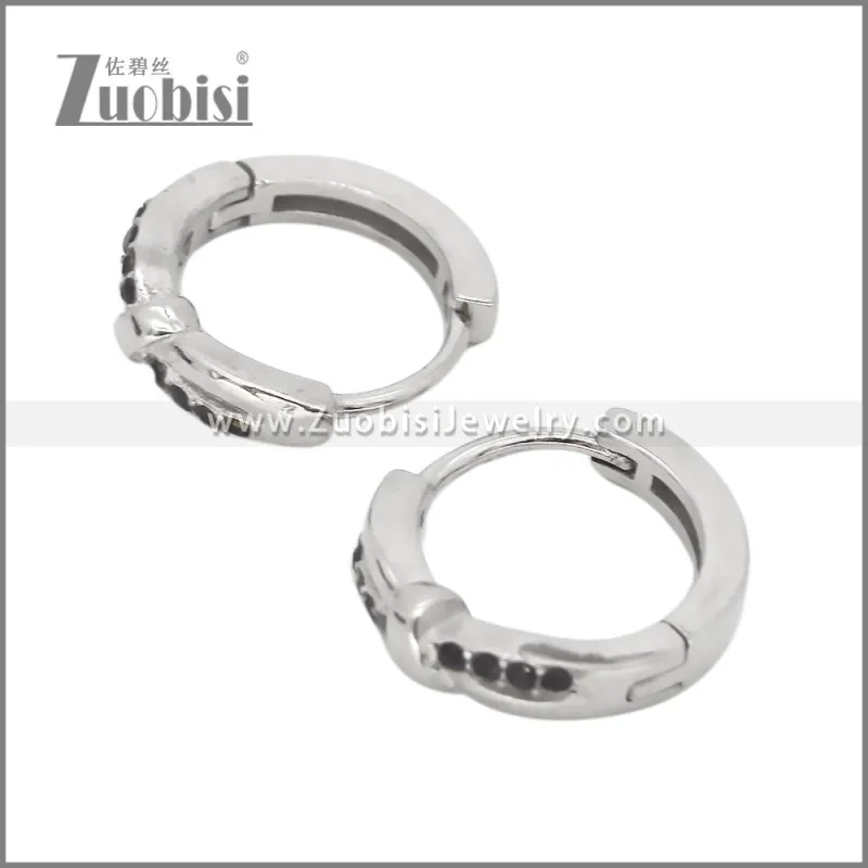 Stainless Steel Earring e002536S2