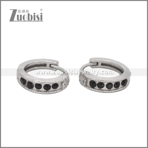 Stainless Steel Earring e002529