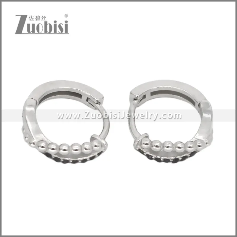 Stainless Steel Earring e002540S1