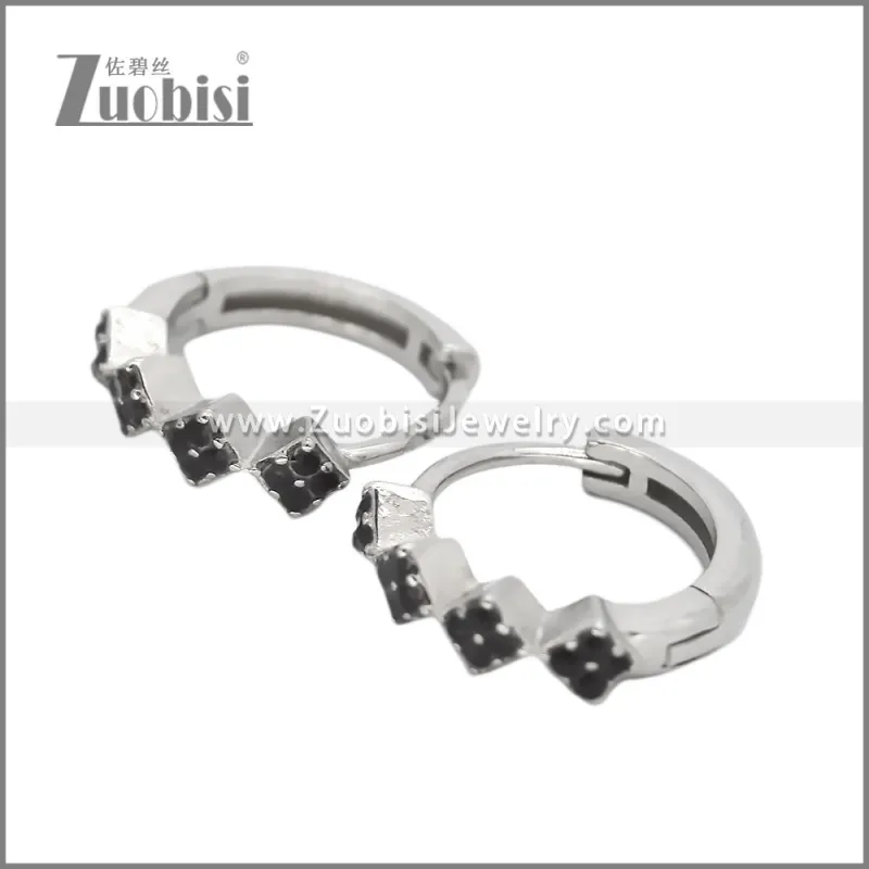Stainless Steel Earring e002539S1