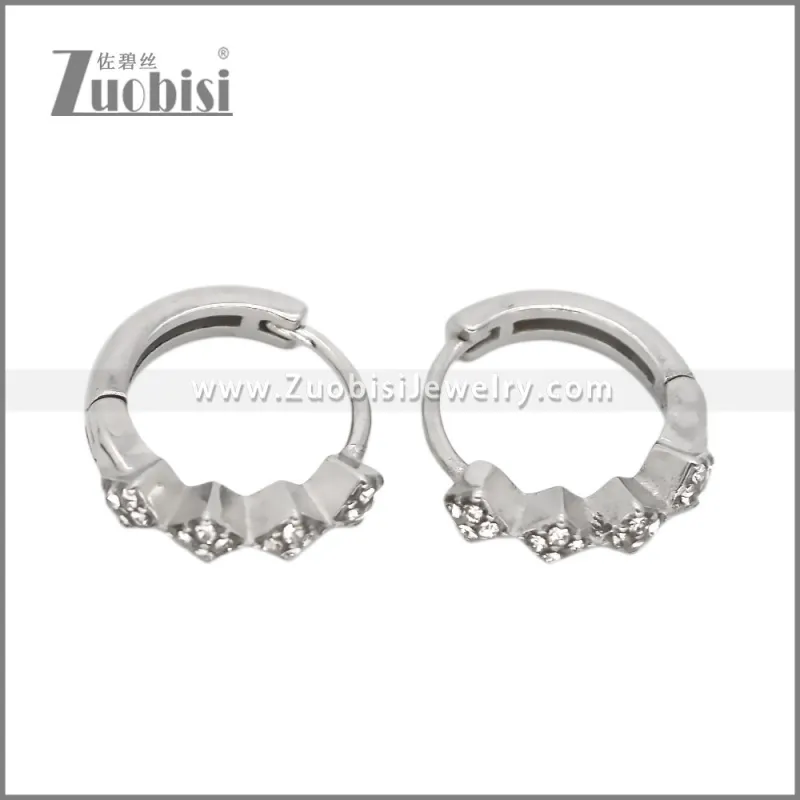 Stainless Steel Earring e002539S2