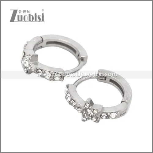 Stainless Steel Earring e002537S2