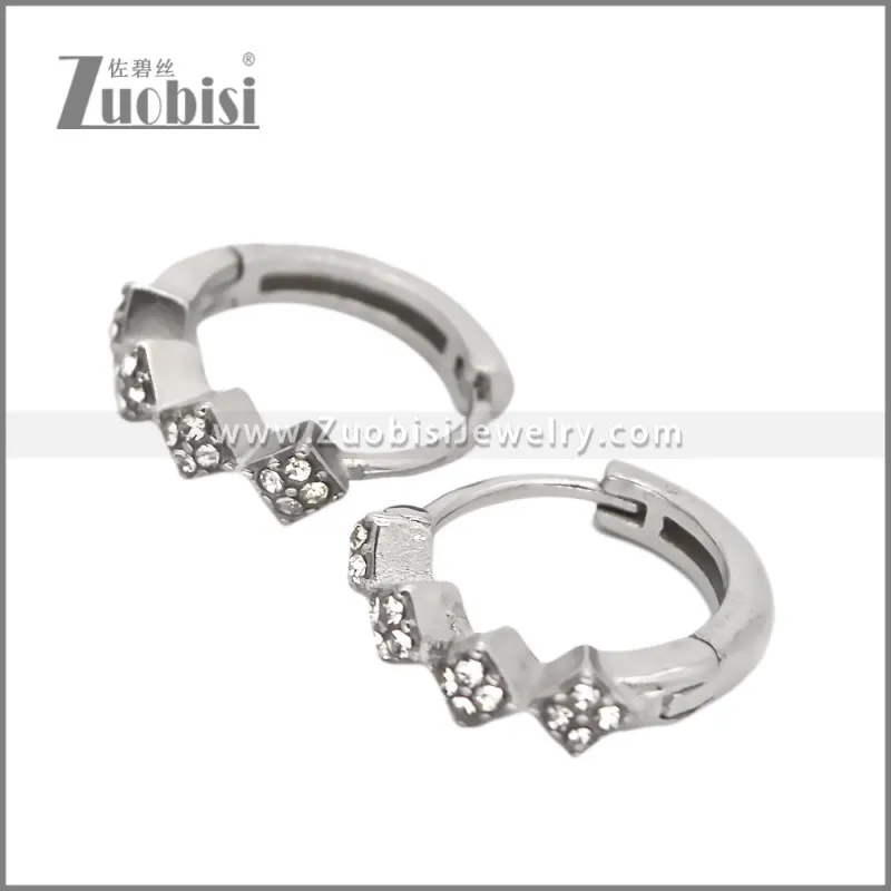 Stainless Steel Earring e002539S2