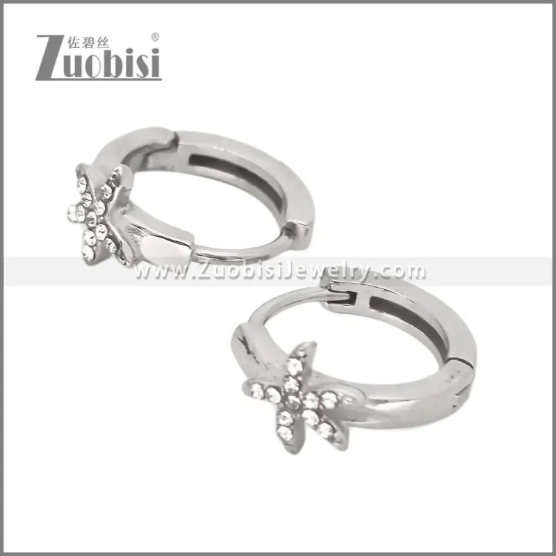 Stainless Steel Earring e002533
