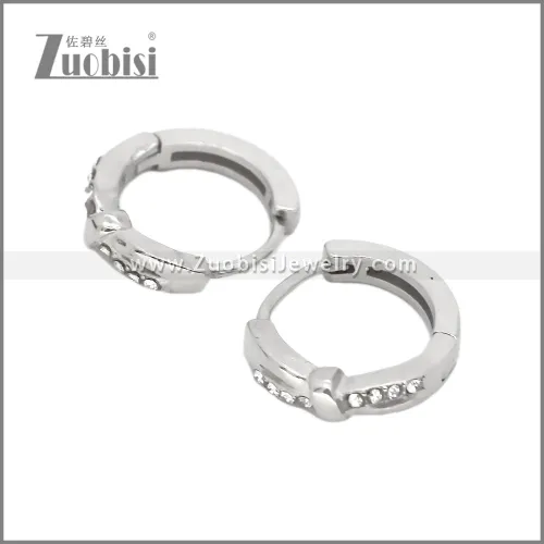 Stainless Steel Earring e002536S1