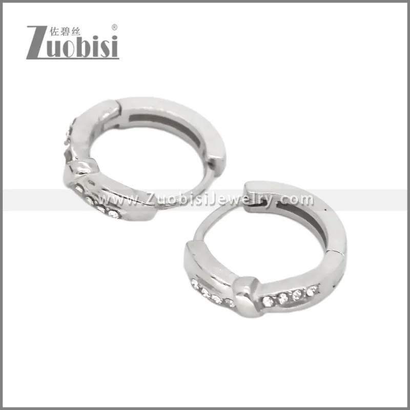 Stainless Steel Earring e002536S1