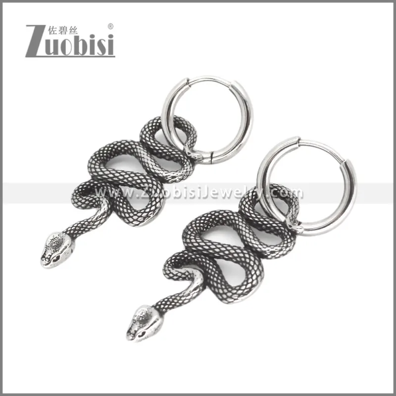 Stainless Steel Earring e002564