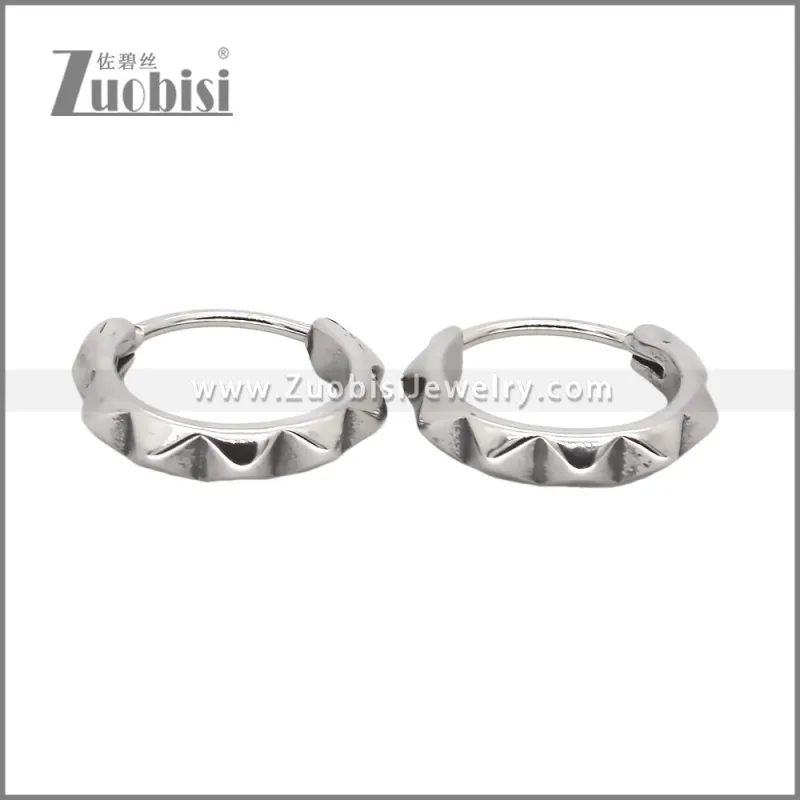Stainless Steel Earring e002545