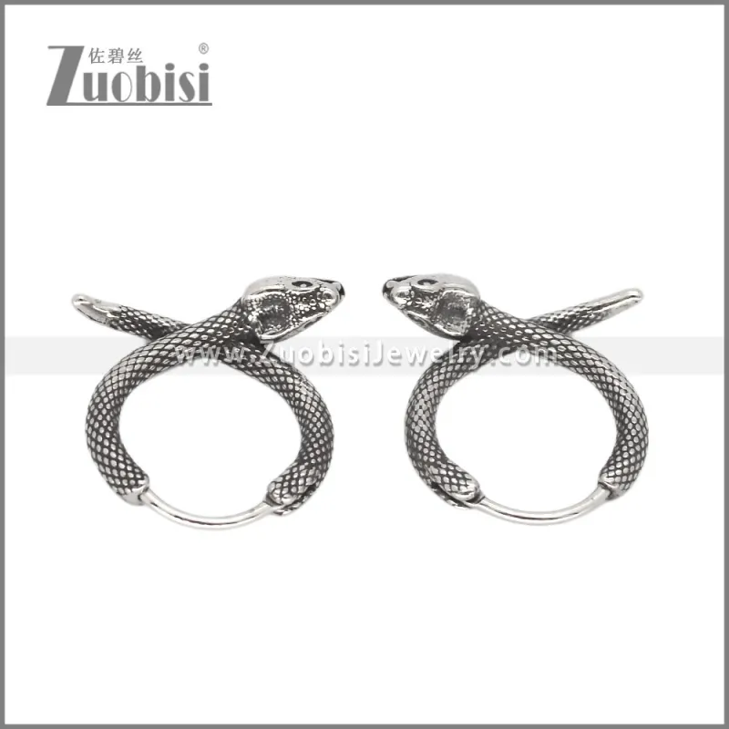 Stainless Steel Earring e002567