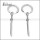 Stainless Steel Earring e002547