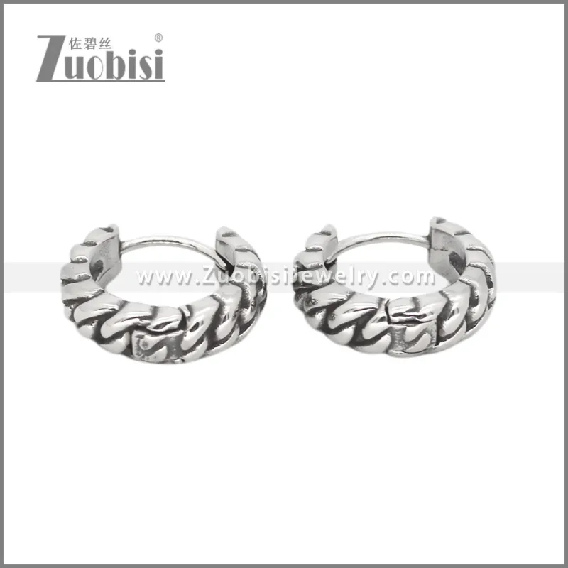 Stainless Steel Earring e002559