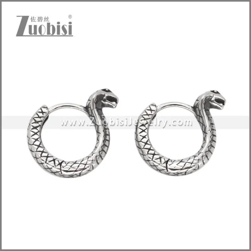 Stainless Steel Earring e002574