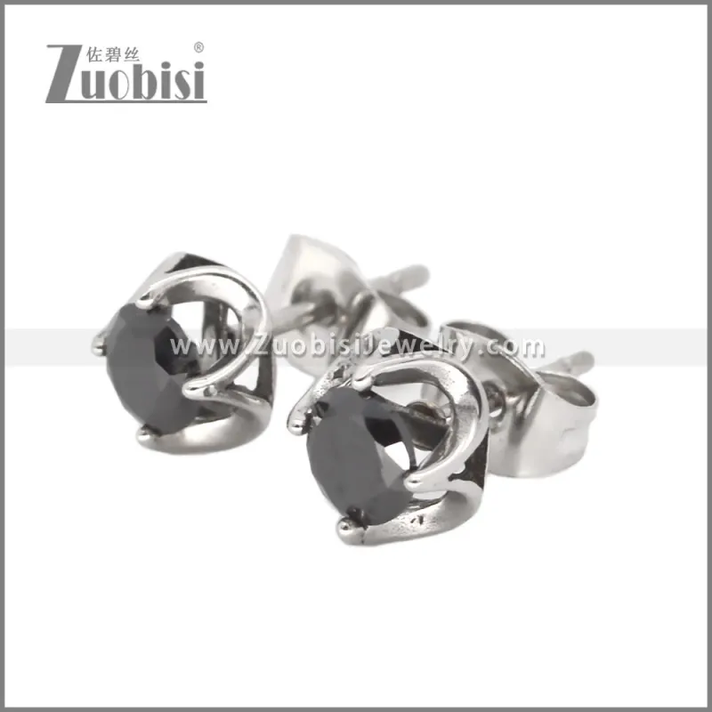 Stainless Steel Earrings e002648SH
