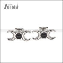 Stainless Steel Earrings e002639S2