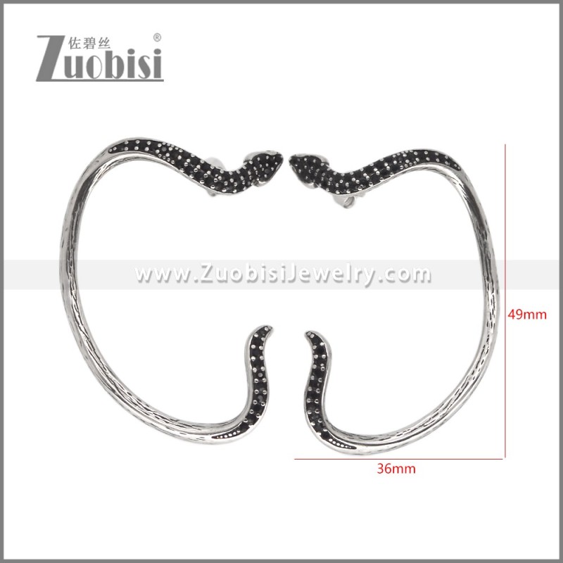 Stainless Steel Earrings e002621H