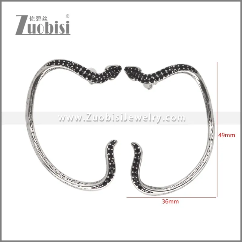 Stainless Steel Earrings e002621H