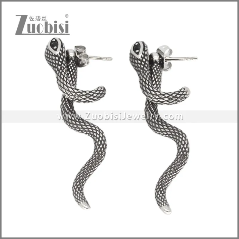 Stainless Steel Earrings e002628