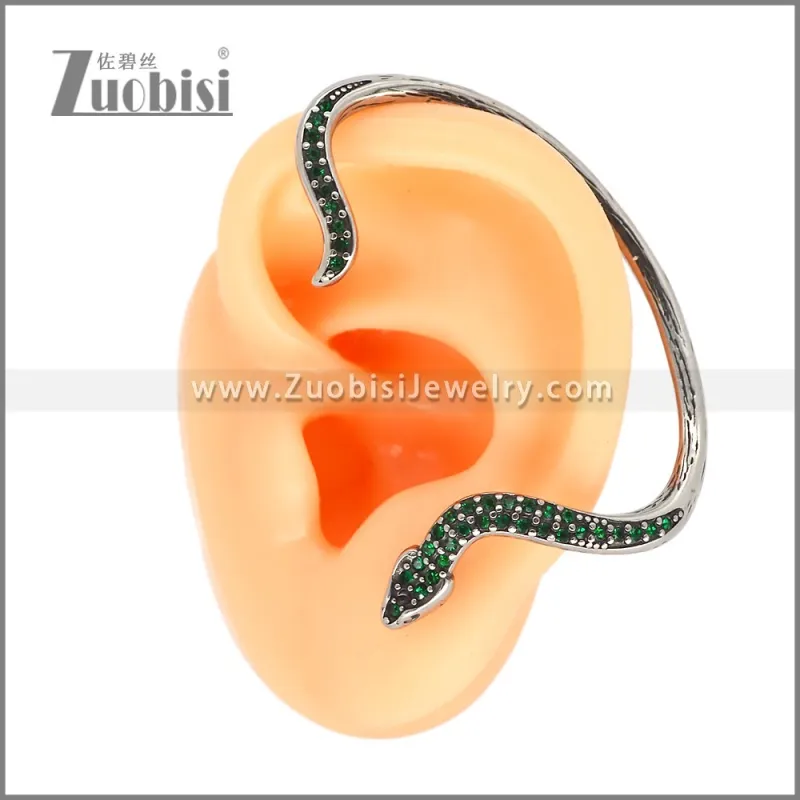Stainless Steel Earrings e002621B