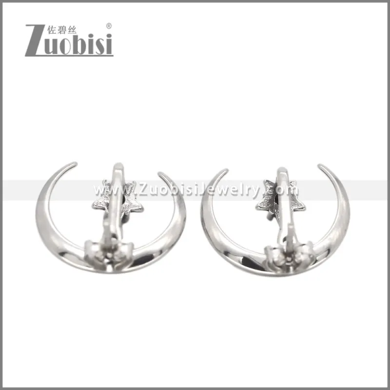 Stainless Steel Earrings e002633