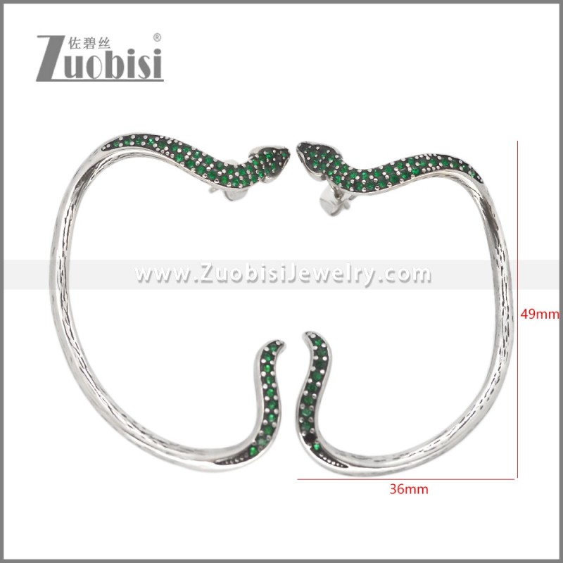 Stainless Steel Earrings e002621B