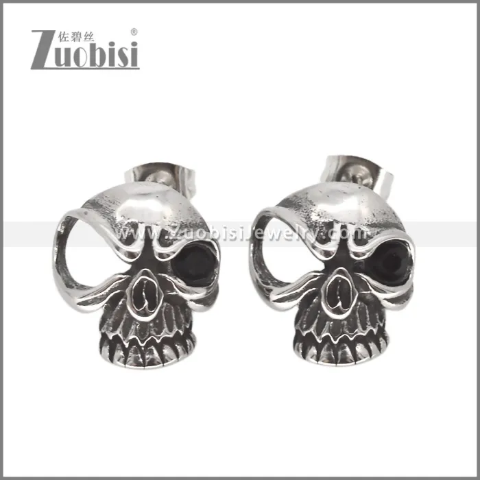 Stainless Steel Earrings e002635