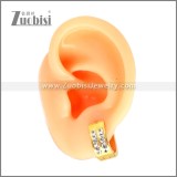 Stainless Steel Earring e002664