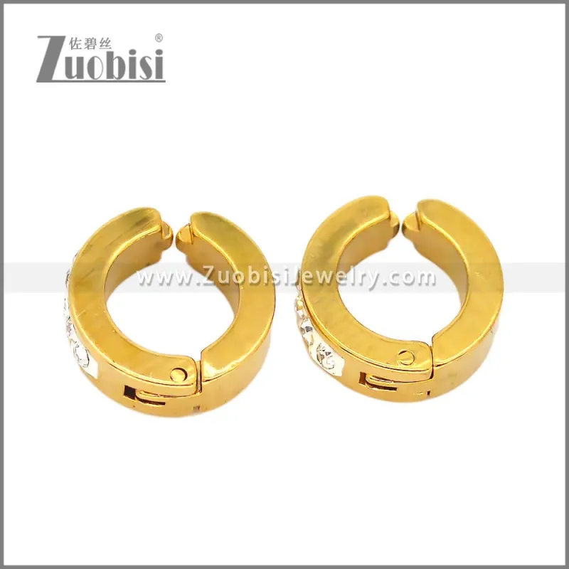 Stainless Steel Earring e002676