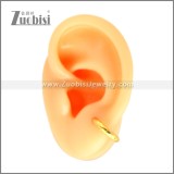 Stainless Steel Earring e002683