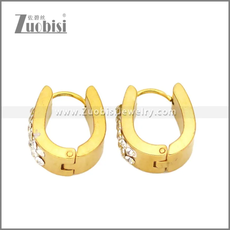 Stainless Steel Earring e002664