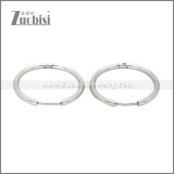 Stainless Steel Earring e002662