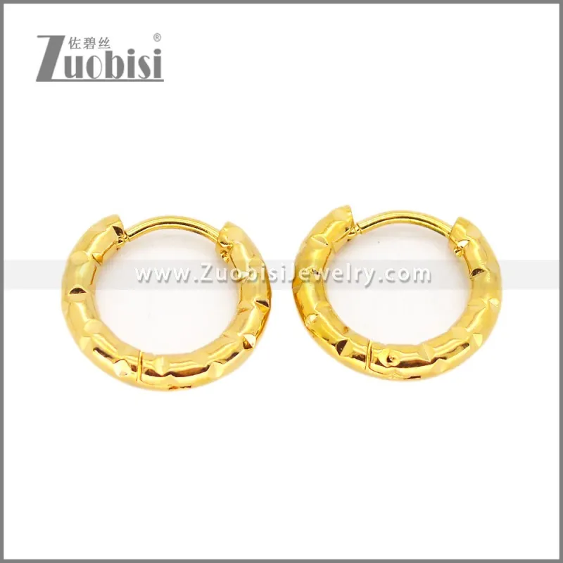 Stainless Steel Earring e002682
