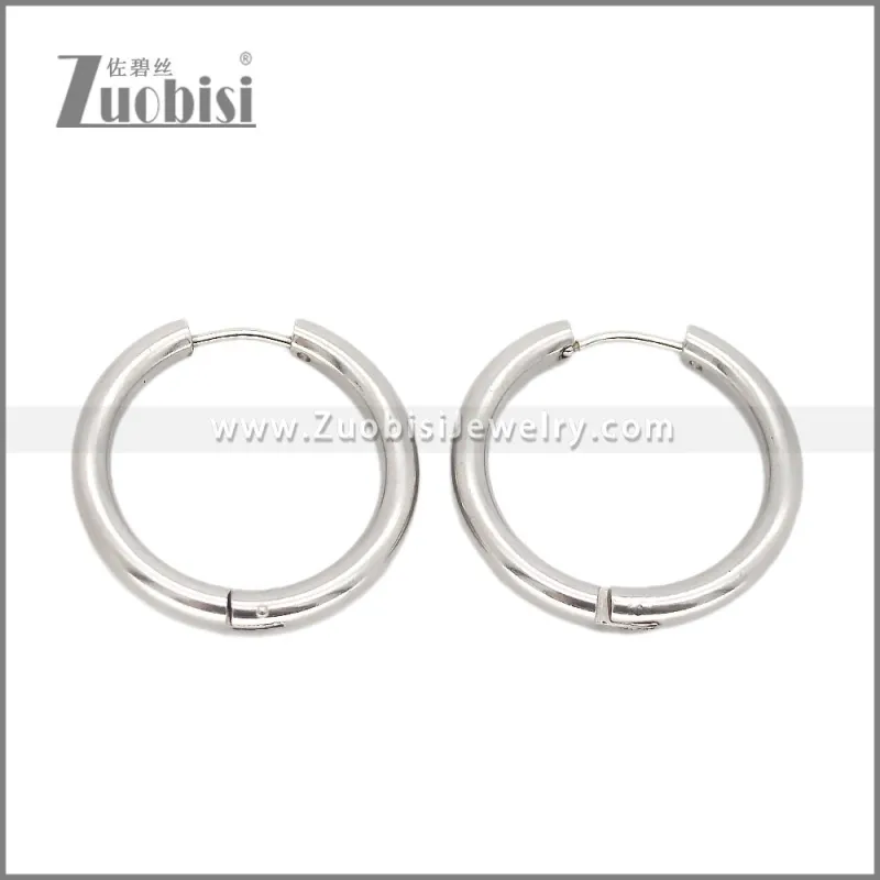 Stainless Steel Earring e002661