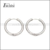 Stainless Steel Earring e002661