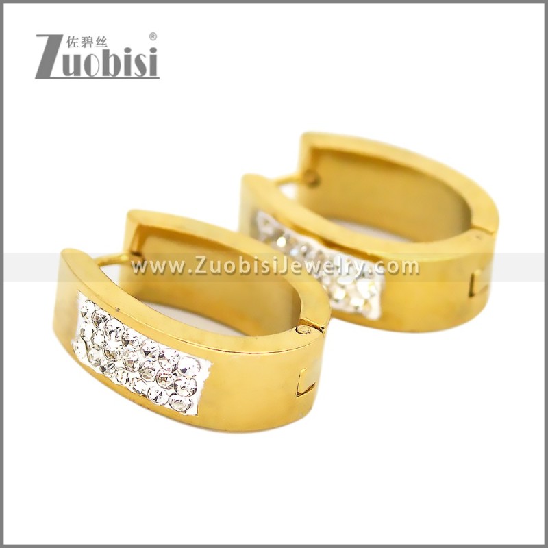 Stainless Steel Earring e002656