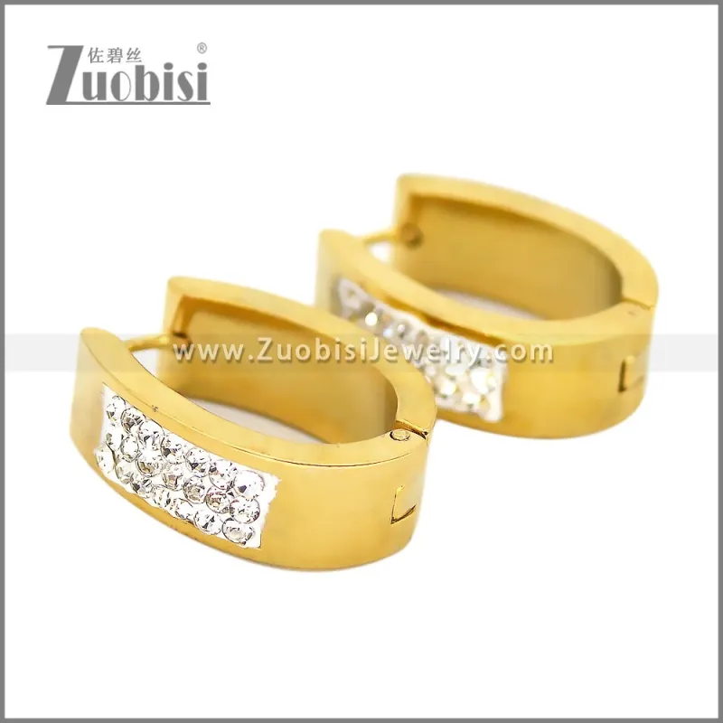 Stainless Steel Earring e002656