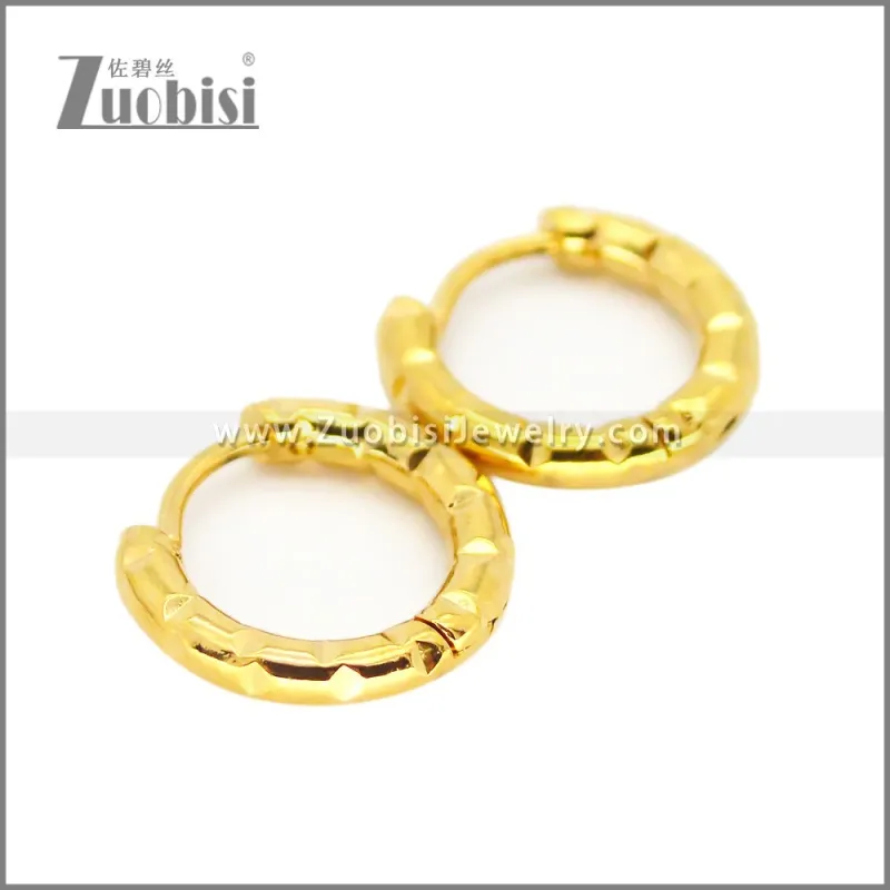 Stainless Steel Earring e002682