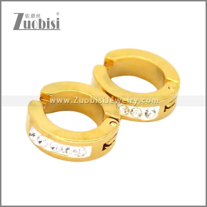 Stainless Steel Earring e002676