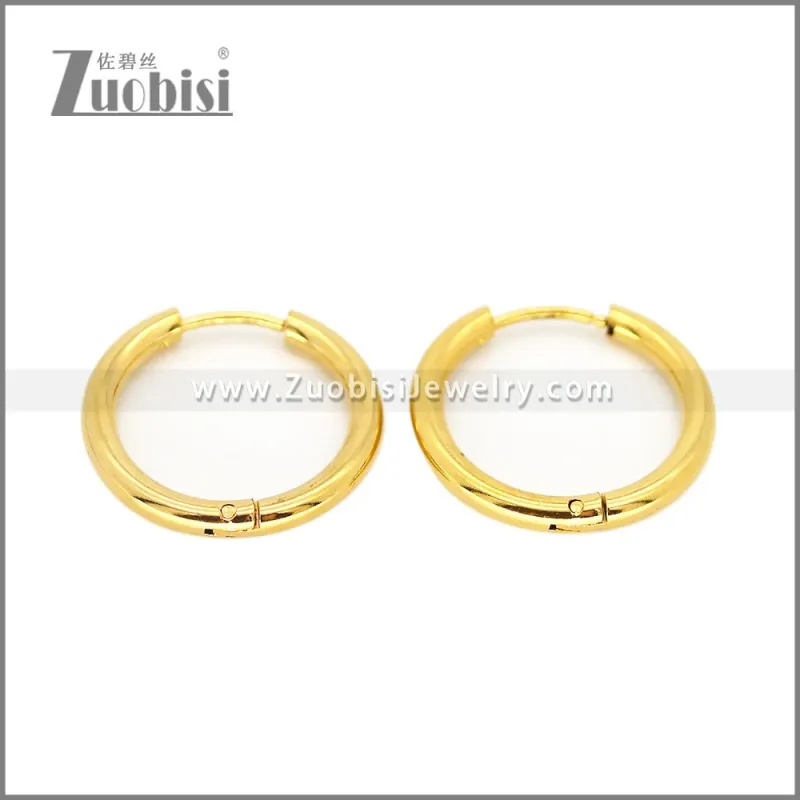 Stainless Steel Earring e002667