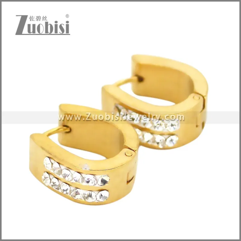 Stainless Steel Earring e002664