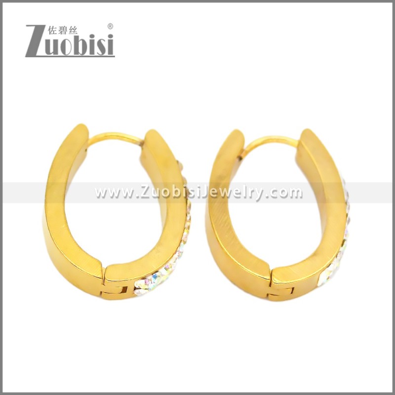 Stainless Steel Earring e002666