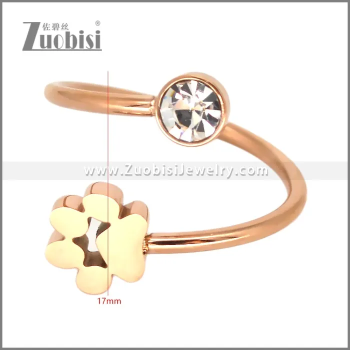 Stainless Steel Ring r010235R