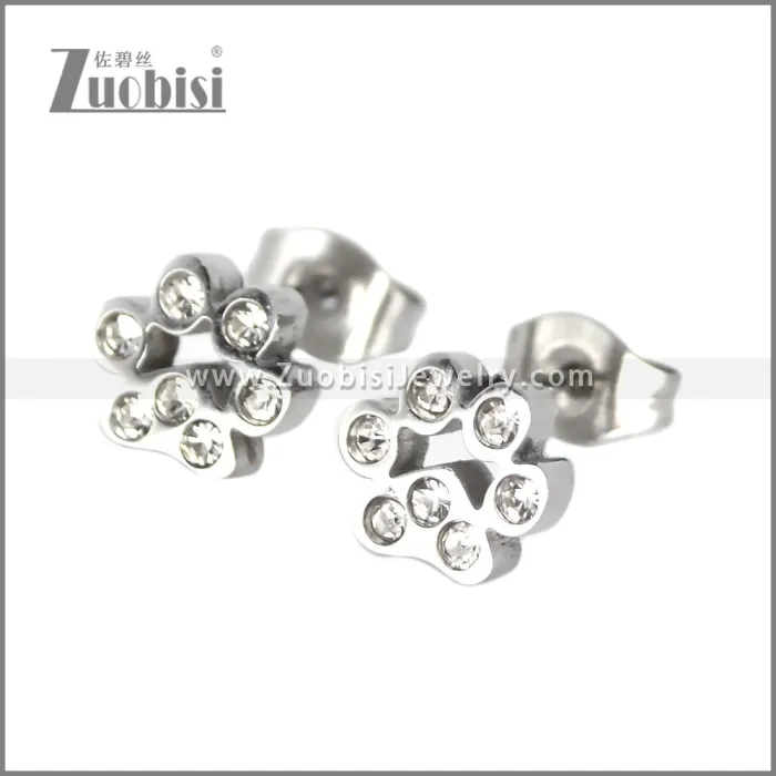 Stainless Steel Earring e002701S