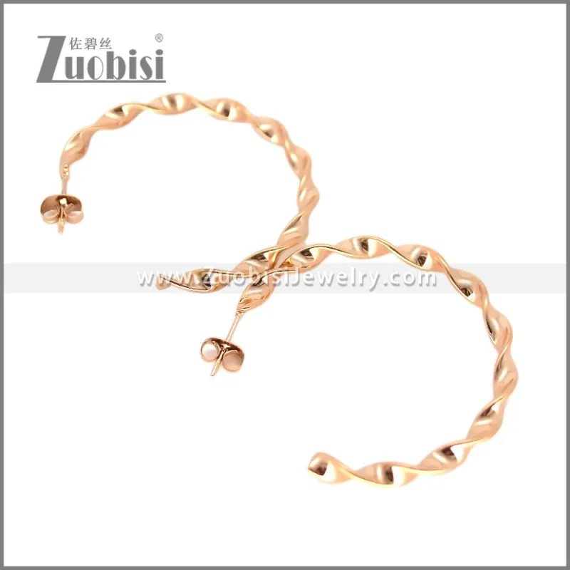 Stainless Steel Earring e002695R