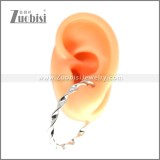 Stainless Steel Earring e002695S